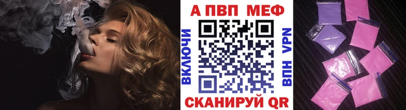 Альфа ПВП СК КРИС  Белокуриха 