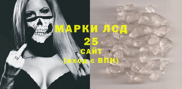 прущие грибы Аркадак