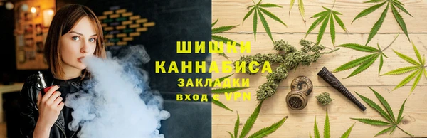 ГАЛЛЮЦИНОГЕННЫЕ ГРИБЫ Балабаново