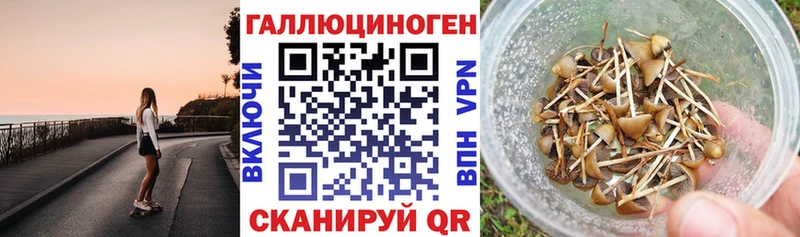 Псилоцибиновые грибы прущие грибы  Белокуриха 
